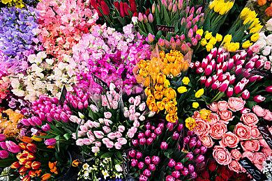 玩家吐槽《霍格沃茨之遗》地下城：单一重复无趣