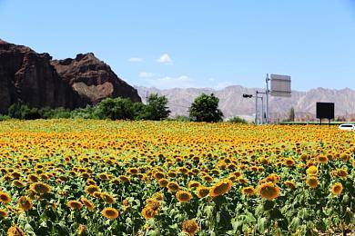 育碧公布手游《全境封锁：曙光》首部预告片分享