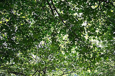 PlayStation：会继续和更多第三方工作室合作 打造独特游戏