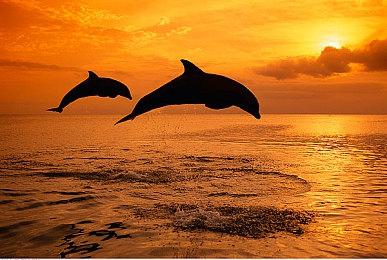 腾讯天美展示《王者荣耀：世界》多人游戏预告