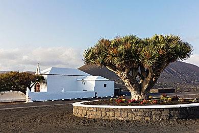 像素射击游戏《救国少女之斯娜静歌》公布游戏预告