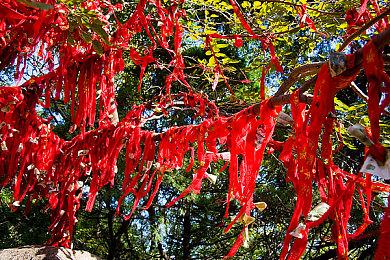 《光环：无限》画面对比视频：2020 vs 2021